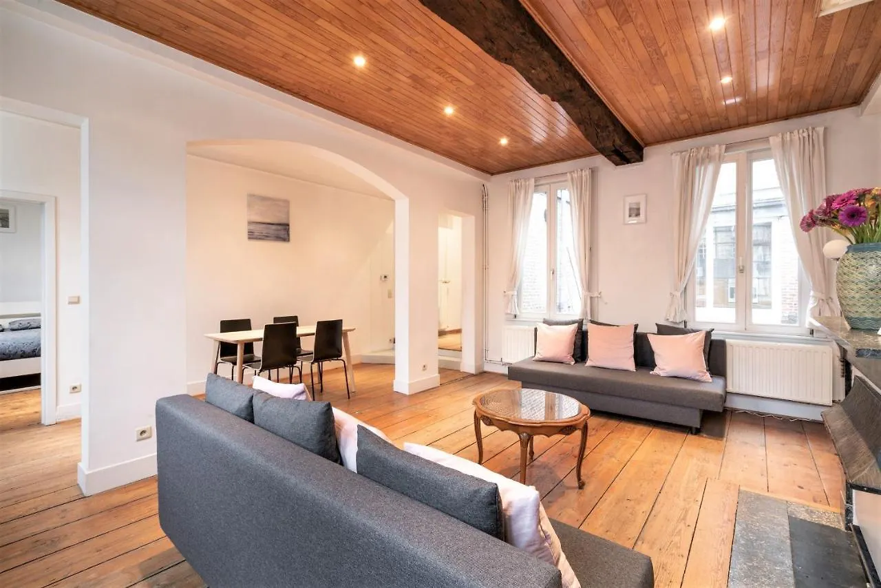 Apartmán The Capital Street Lodge Antverpy Belgie
